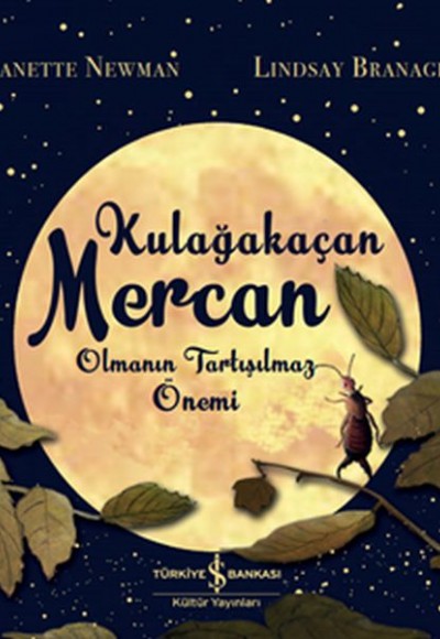 Kulağakaçan Mercan Olmanın Tartışılmaz Önemi Kulağakaçan Mercan Olmanın Tartışılmaz Önemi