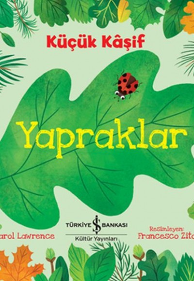 Küçük Kaşif - Yapraklar Küçük Kaşif - Yapraklar