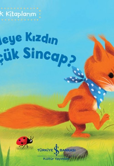 Neye Kızdın Küçük Sincap Neye Kızdın Küçük Sincap