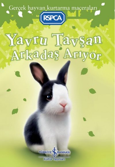 Yavru Tavşan Arkadaş Arıyor Yavru Tavşan Arkadaş Arıyor
