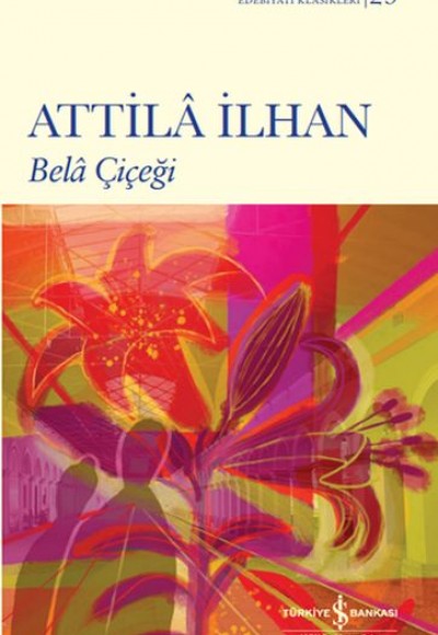 Bela Çiçeği Bela Çiçeği