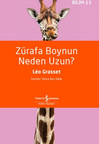 Zürafa Boynun Neden Uzun? Zürafa Boynun Neden Uzun?