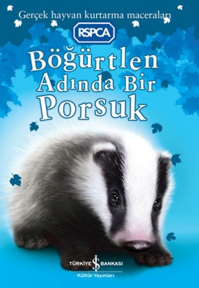 Böğürtlen Adında Bir Porsuk Böğürtlen Adında Bir Porsuk
