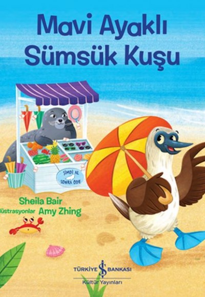 Mavi Ayaklı Sümsük Kuşu Mavi Ayaklı Sümsük Kuşu