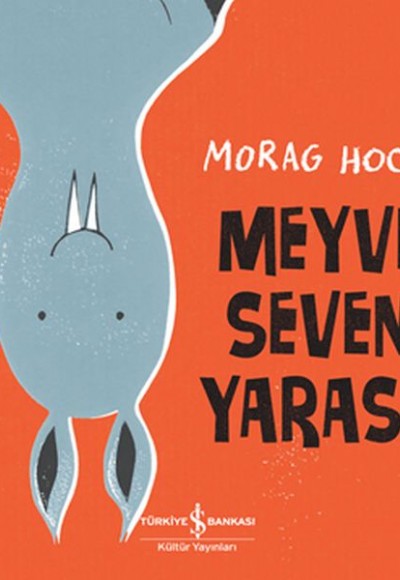 Meyve Seven Yarasa Meyve Seven Yarasa
