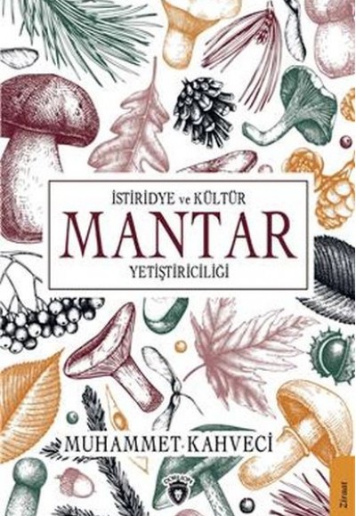 İstiridye ve Kültür Mantarı Yetiştiriciliği İstiridye ve Kültür Mantarı Yetiştiriciliği