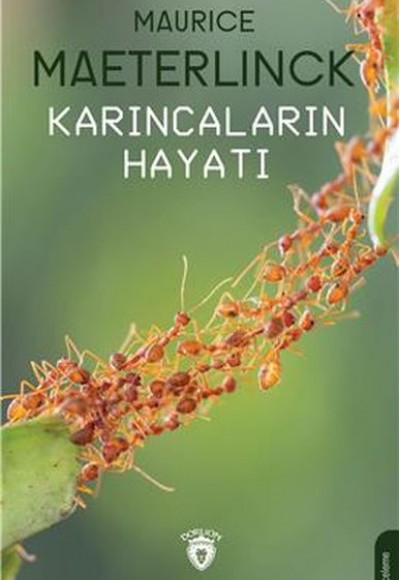 Karıncaların Hayatı Karıncaların Hayatı