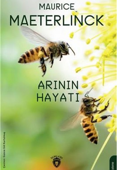 Arının Hayatı Arının Hayatı