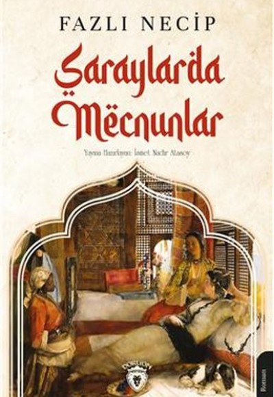 Saraylarda Mecnunlar Saraylarda Mecnunlar
