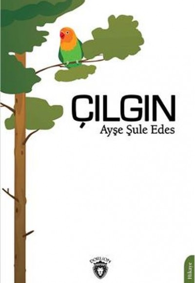 Çılgın Çılgın