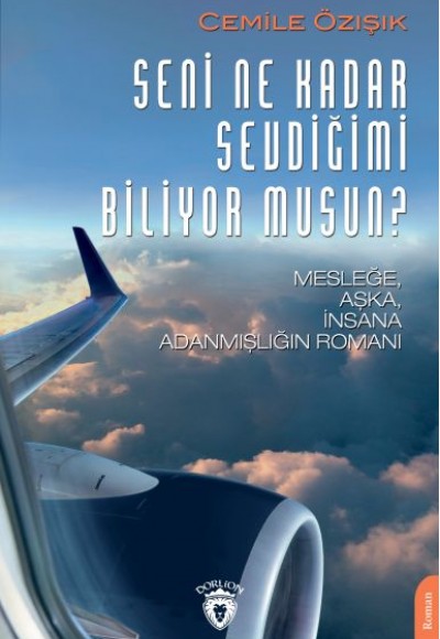 Seni Ne Kadar Sevdiğimi Biliyor musun? Seni Ne Kadar Sevdiğimi Biliyor musun?