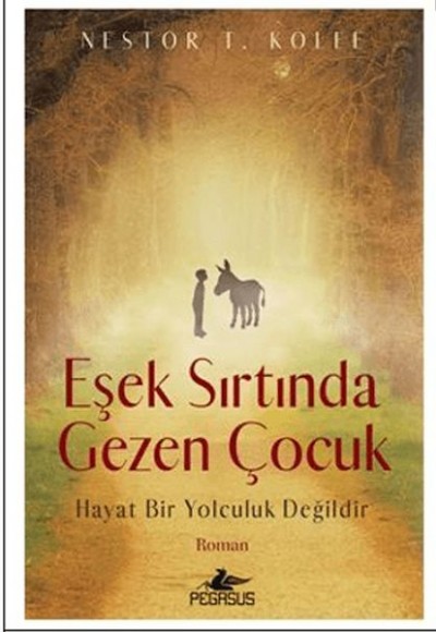Eşek Sırtında Gezen Çocuk Eşek Sırtında Gezen Çocuk