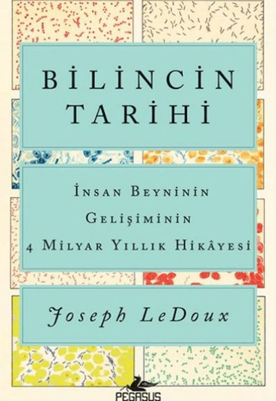 Bilincin Tarihi: İnsan Beyninin Gelişiminin 4 Milyar Yıllık Hikayesi Bilincin Tarihi: İnsan Beyninin Gelişiminin 4 Milyar Yıllık Hikayesi
