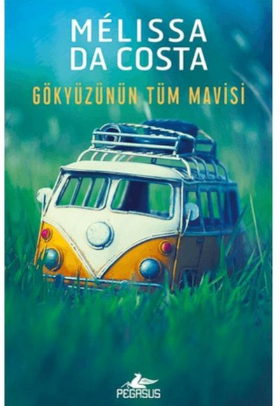 Gökyüzünün Tüm Mavisi Gökyüzünün Tüm Mavisi