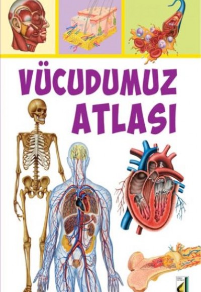 Vücudumuz Atlası Vücudumuz Atlası