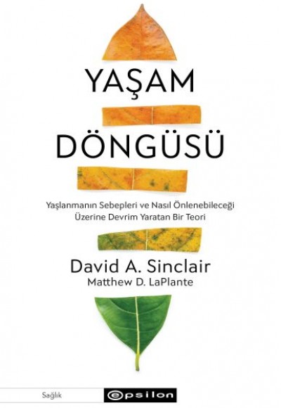 Yaşam Döngüsü Yaşam Döngüsü