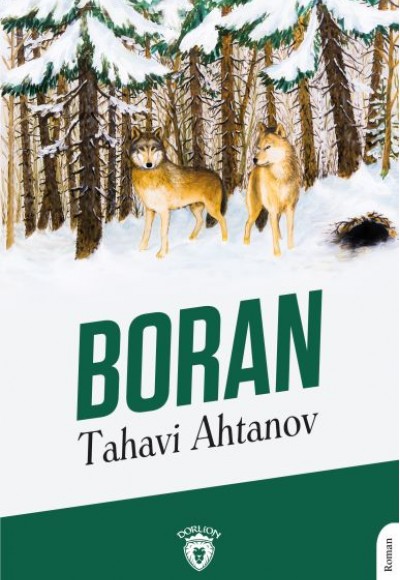 Boran Boran