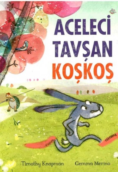 Aceleci Tavşan KoşKoş Aceleci Tavşan KoşKoş