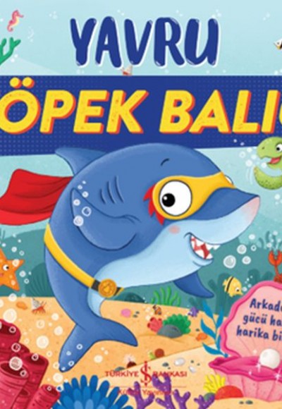 Yavru Köpek Balığı Yavru Köpek Balığı