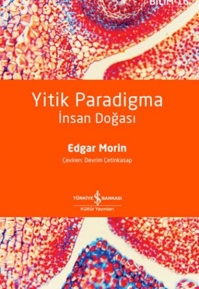 Yitik Paradigma: İnsan Doğası Yitik Paradigma: İnsan Doğası