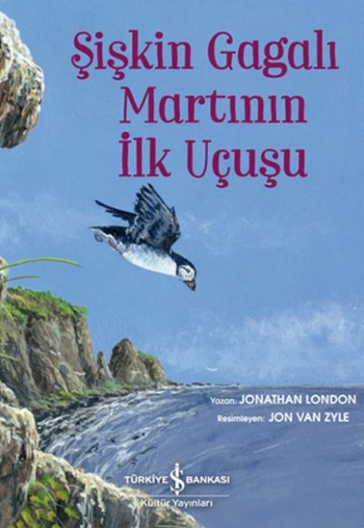 Şişkin Gagalı Martının İlk Uçuşu Şişkin Gagalı Martının İlk Uçuşu