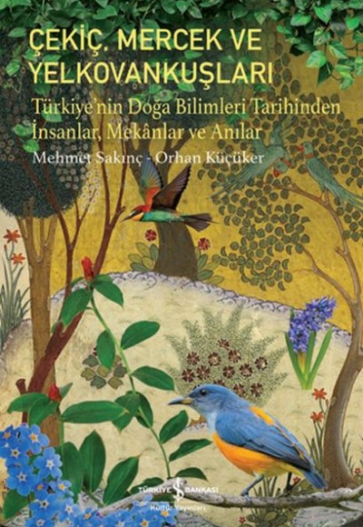 Çekiç, Mercek ve Yelkovankuşları Çekiç, Mercek ve Yelkovankuşları