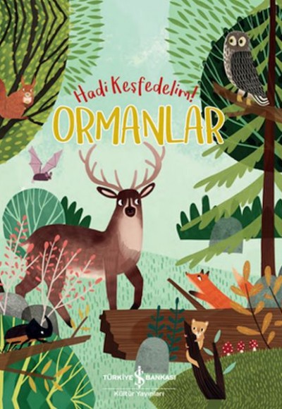 Ormanlar - Hadi Keşfedelim! Ormanlar - Hadi Keşfedelim!