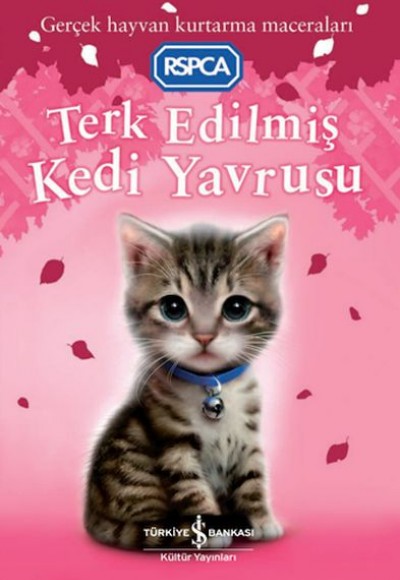 Terk Edilmiş Kedi Yavrusu Terk Edilmiş Kedi Yavrusu