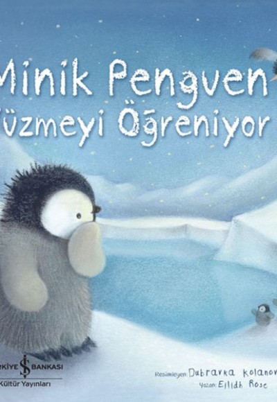 Minik Penguen Yüzmeyi Öğreniyor Minik Penguen Yüzmeyi Öğreniyor