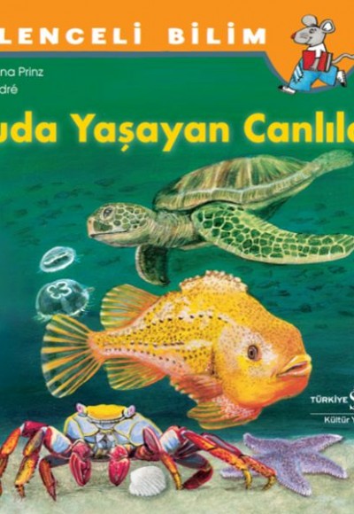Suda Yaşayan Canlılar Suda Yaşayan Canlılar