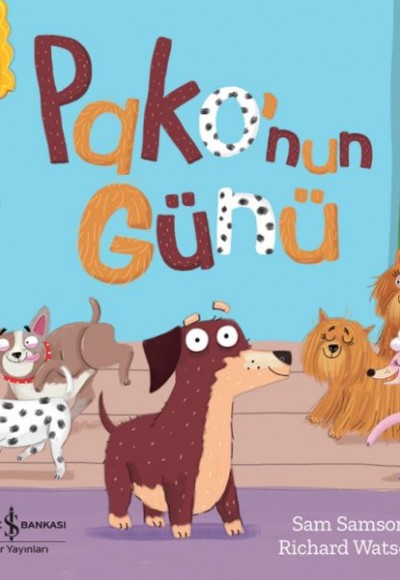 Pako’nun Günü Pako’nun Günü