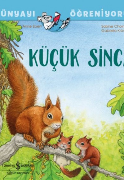 Küçük Sincap Dünyayı Öğreniyorum Küçük Sincap Dünyayı Öğreniyorum