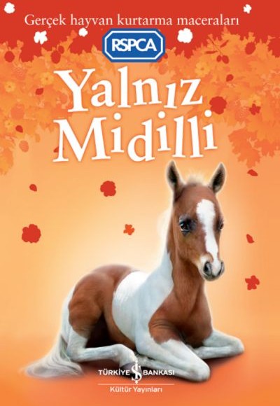 Yalnız Midilli Yalnız Midilli