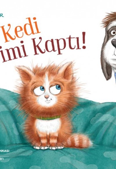 Kedi Yerimi Kaptı! Kedi Yerimi Kaptı!