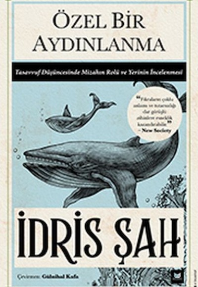 Özel Bir Aydınlanma