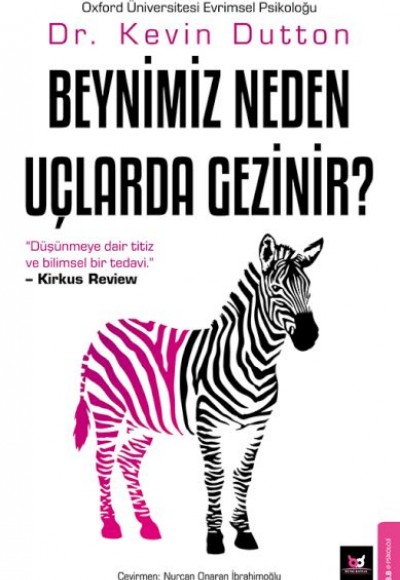 Beynimiz Neden Uçlarda Gezinir? Beynimiz Neden Uçlarda Gezinir?