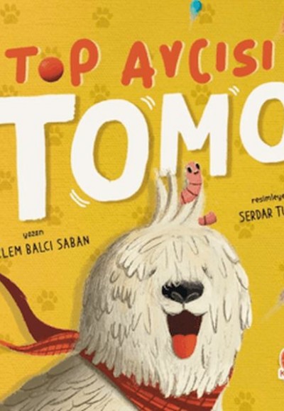 Top Avcısı Tomo Top Avcısı Tomo