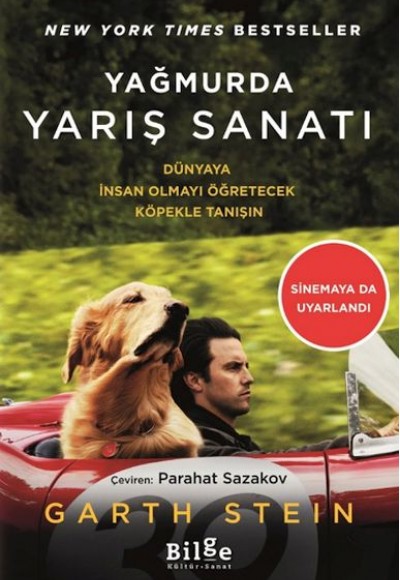 Yağmurda Yarış Sanatı Yağmurda Yarış Sanatı