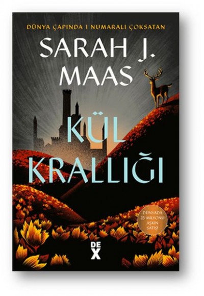 Cam Şato 7 - Kül Krallığı (Ciltli)