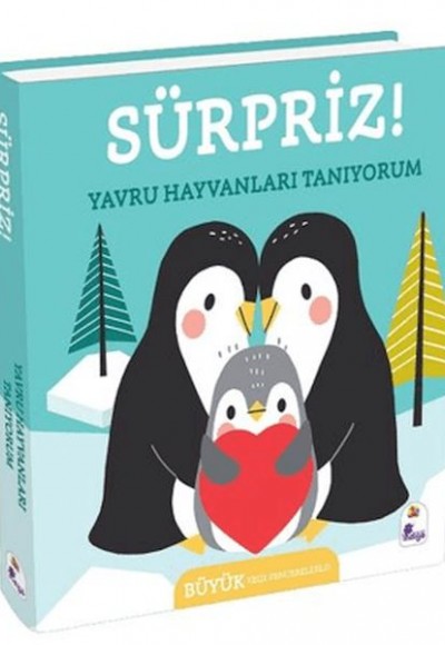 Sürpriz! - Yavru Hayvanları Tanıyorum