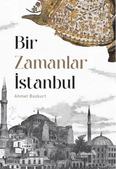 Renkli Taşlar