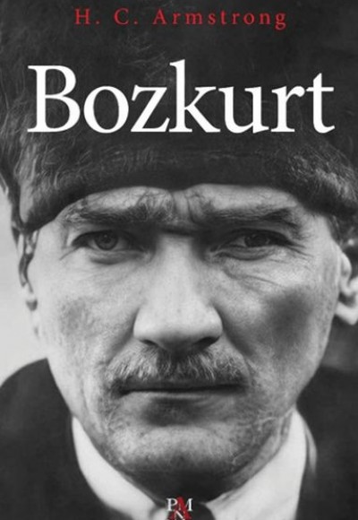Bozkurt Bozkurt