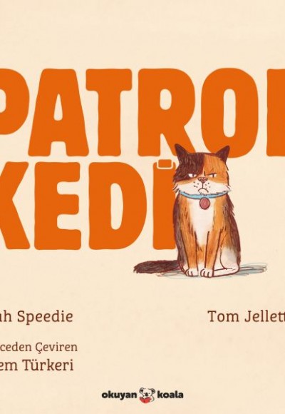 Patron Kedi Patron Kedi