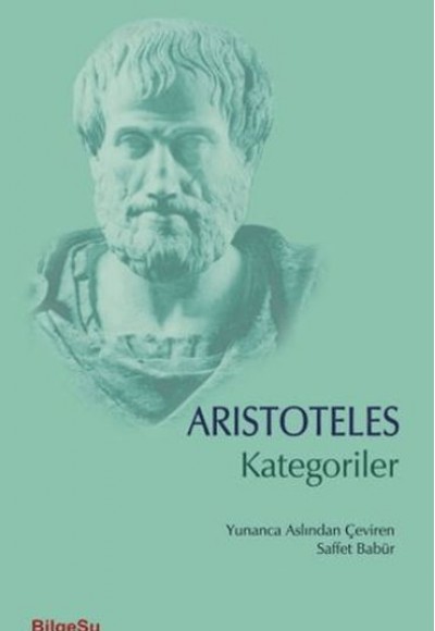Kategoriler