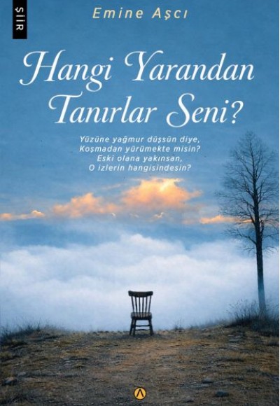 Hangi Yarandan Tanırlar Seni? Hangi Yarandan Tanırlar Seni?