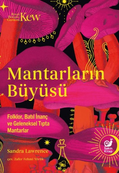 Mantarların Büyüsü
