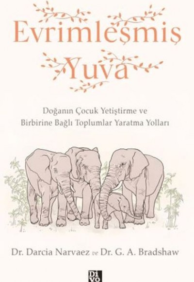 Evrimleşmiş Yuva Evrimleşmiş Yuva