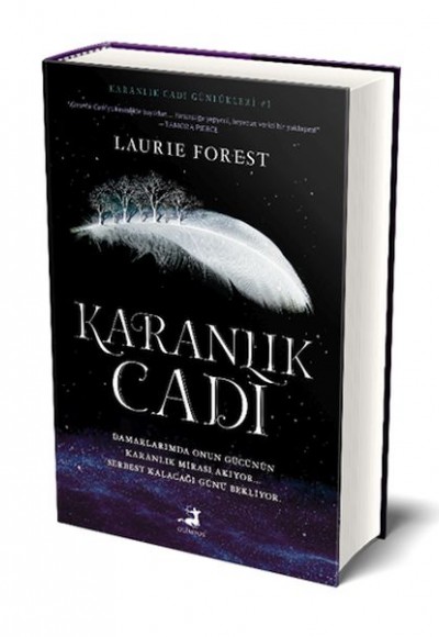 Karanlık Cadı (Ciltli) Karanlık Cadı (Ciltli)