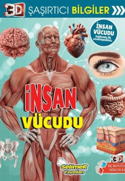 3D Şaşırtıcı Bilgiler - İnsan Vücudu