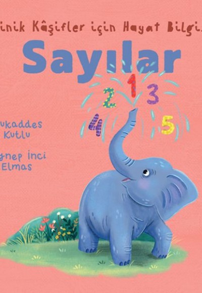 Minik Kâşifler için Hayat Bilgisi - Sayılar Minik Kâşifler için Hayat Bilgisi - Sayılar